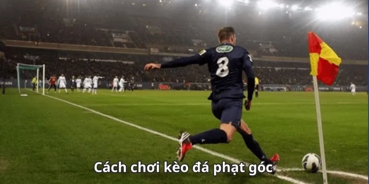 Kèo Phạt Góc Bóng Đá Và Những Chỉ Số Thống Kê Chuyên Sâu