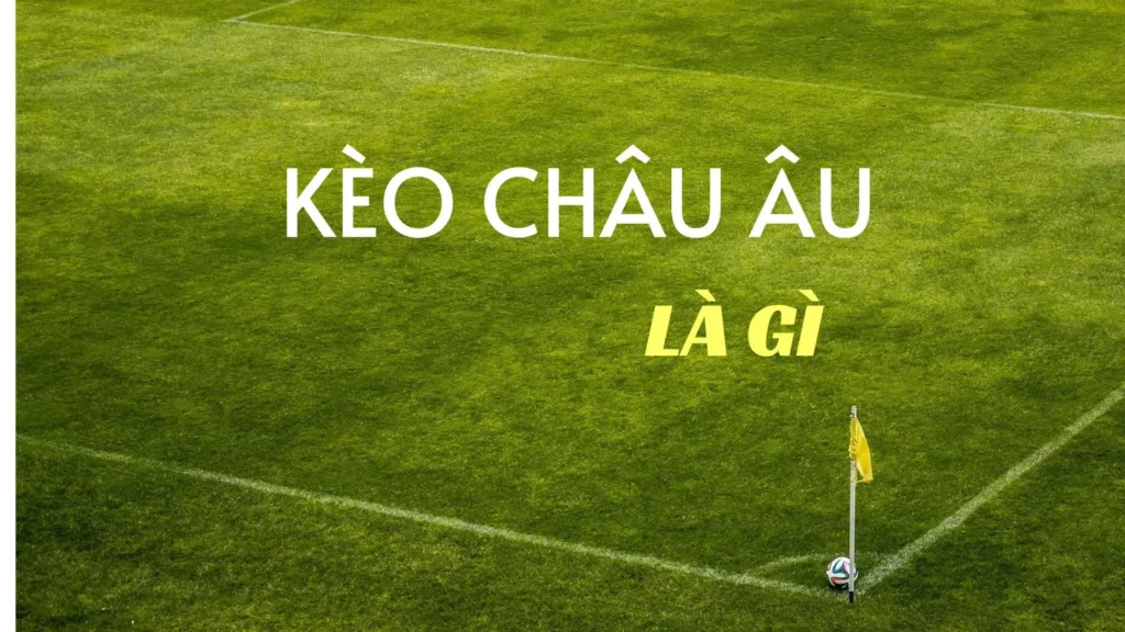 Bí Quyết Chinh Phục Kèo Châu Âu Và Cách Đọc Tỷ Lệ 1X2 Chuẩn Chuyên Gia