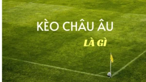 Bí Quyết Chinh Phục Kèo Châu Âu Và Cách Đọc Tỷ Lệ 1X2 Chuẩn Chuyên Gia