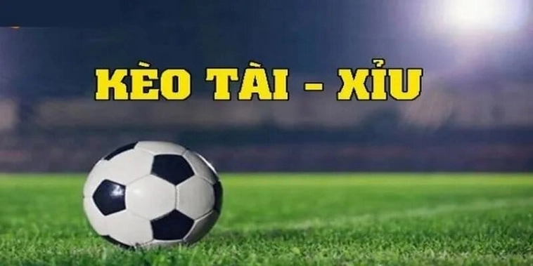 Phân Tích Kèo Tài Xỉu Và Nghệ Thuật Đọc Trận Đấu Của Chuyên Gia