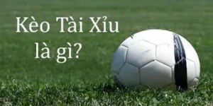 Phân Tích Kèo Tài Xỉu Và Nghệ Thuật Đọc Trận Đấu Của Chuyên Gia