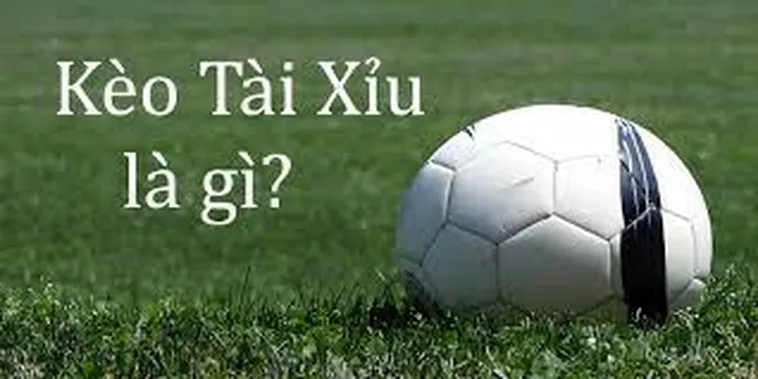 Phân Tích Kèo Tài Xỉu Và Nghệ Thuật Đọc Trận Đấu Của Chuyên Gia