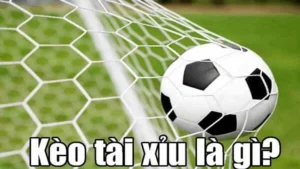 Kèo Tài Xỉu Bóng Đá Và Nghệ Thuật Dự Báo Tổng Số Bàn Thắng